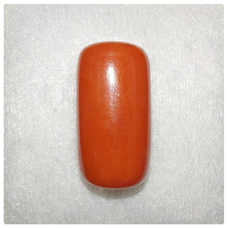 11365243-1coral.jpg